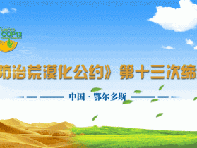 《联合国防治荒漠化公约》第十三次缔约方大会