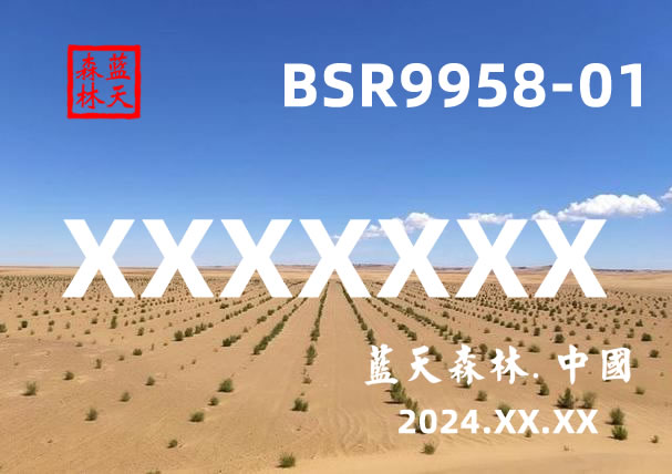 蓝天森林卡片.jpg