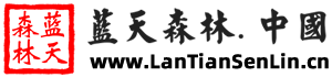 蓝天森林.中国-塔克拉玛干沙漠